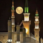 Anoud Alidmat