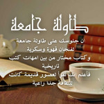 Rasha Yehia Elsayed lotfy